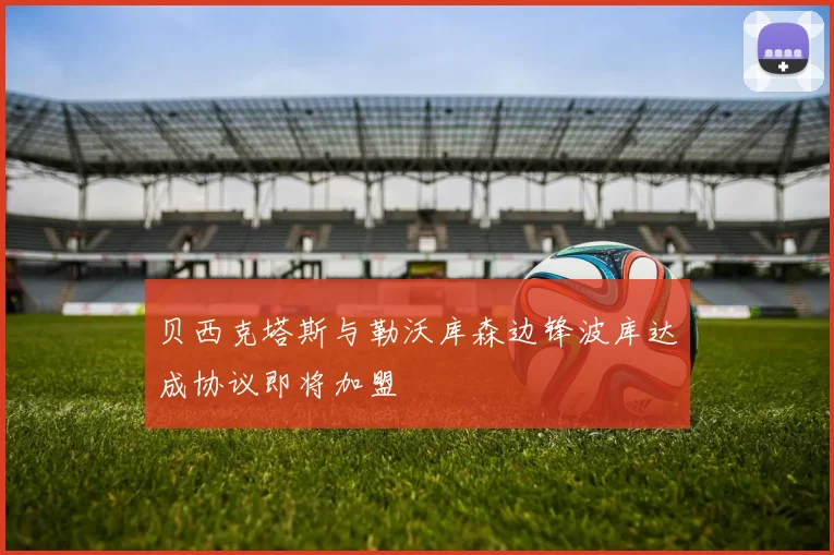 贝西克塔斯与勒沃库森边锋波库达成协议即将加盟